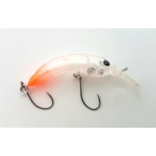 Herakles Moth Sinking Trout Eggs