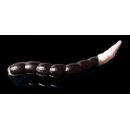 Trout Jara Bufworm Knoblauch 65mm 205 schwarz wei�