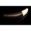 Trout Jara Bruchi Knoblauch 40 mm 205 schwarz wei�